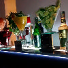 Alquimia Cocktail, bares, bartender, drinks